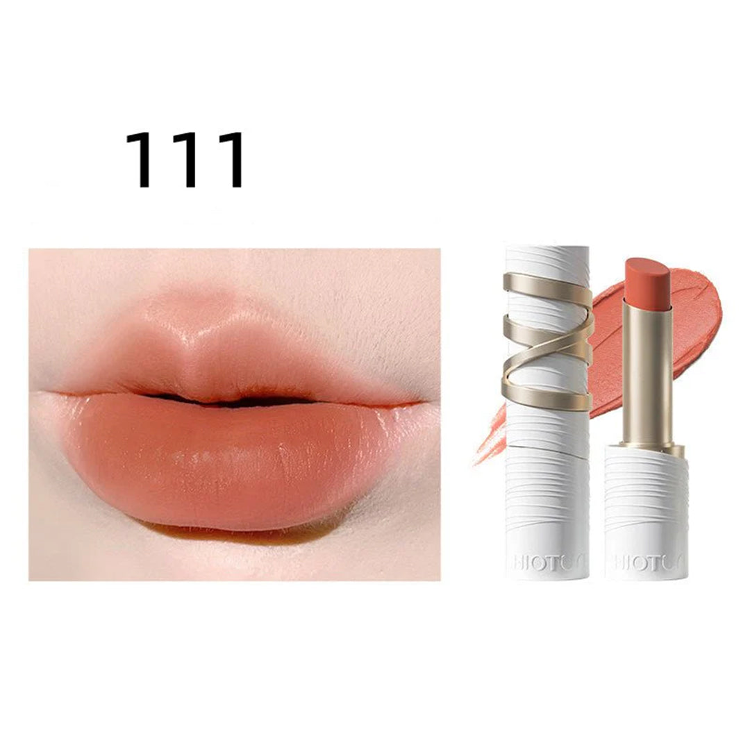Chioture Silky Matte Lipstick 111