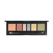 Jung Saem Mool Artist Concealer Palette #Blend N 6.6g